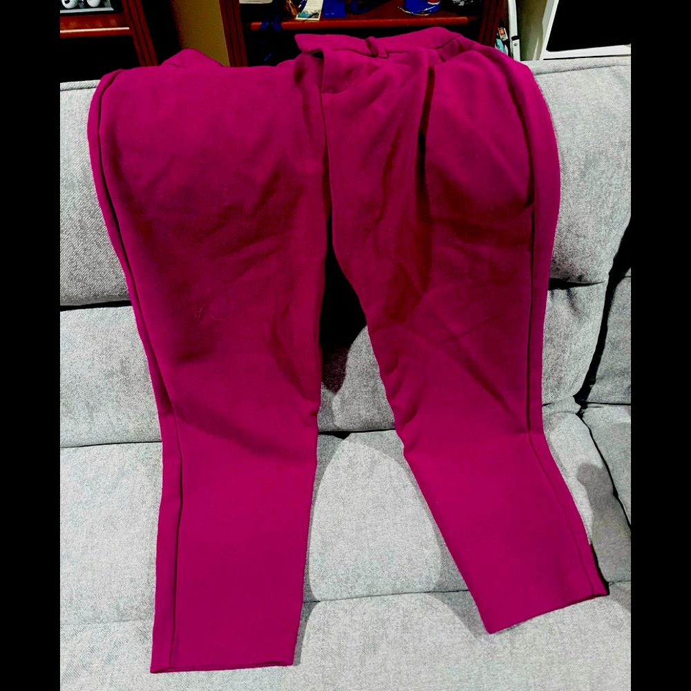 Great Color Dress pants